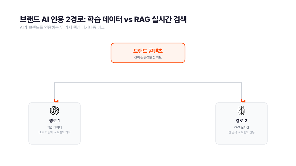브랜드 AI 인용 2경로 비교 다이어그램. 경로1은 챗GPT 학습 데이터를 거쳐 LLM 가중치에 브랜드 기억이 저장되고, 경로2는 퍼플렉시티 RAG 실시간 검색으로 웹에서 브랜드를 직접 인용하는 구조를 나타낸 서치폴라리스 2026.05 플로우
